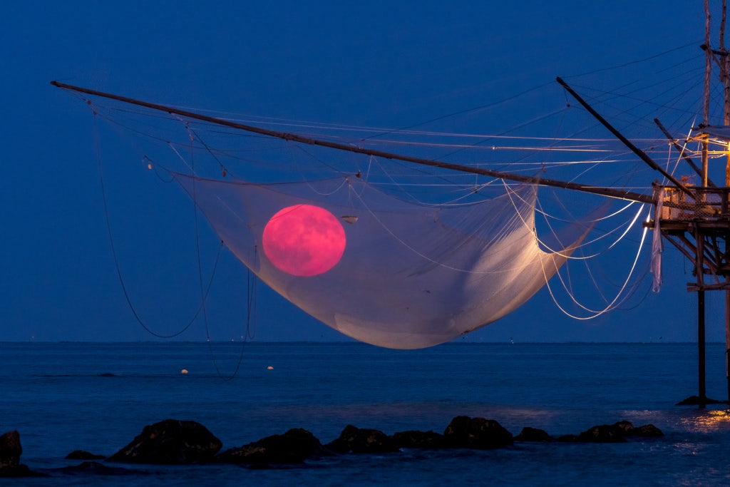 Click to View Larger