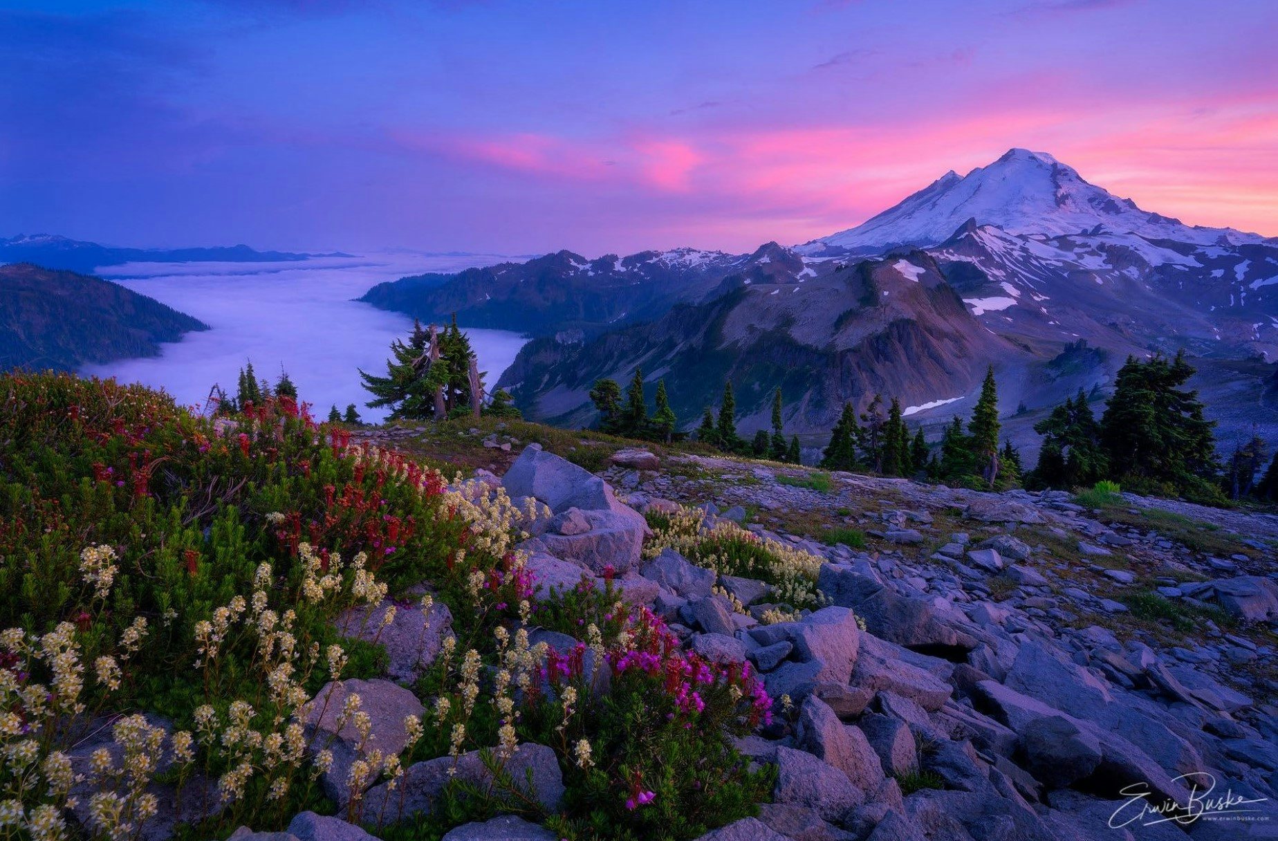 Click to View Larger