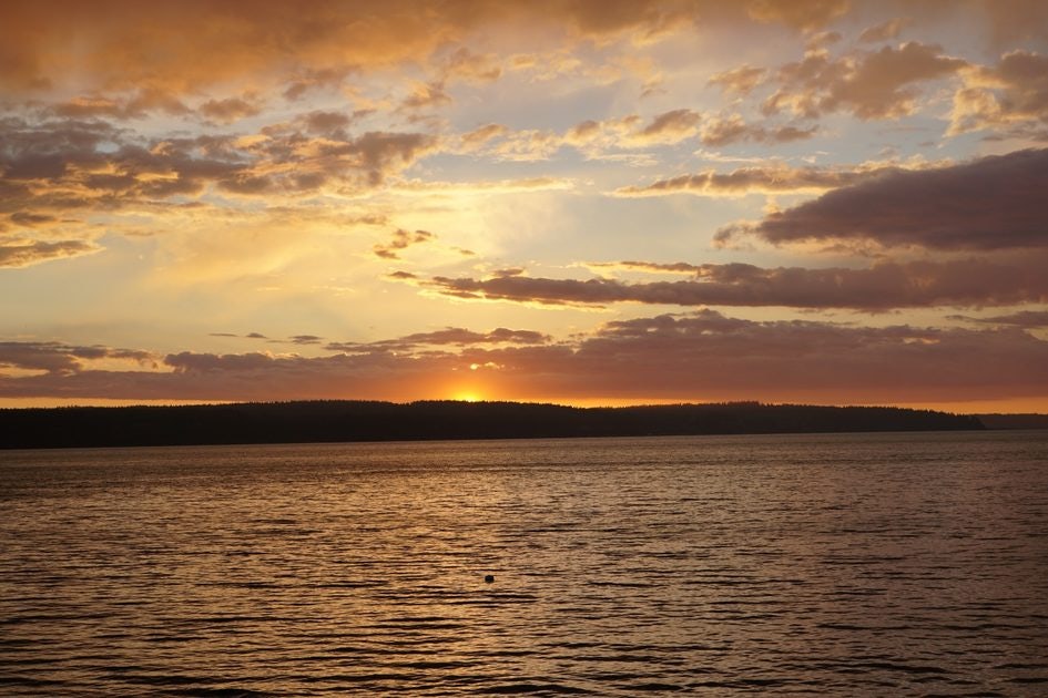 Click to View Larger