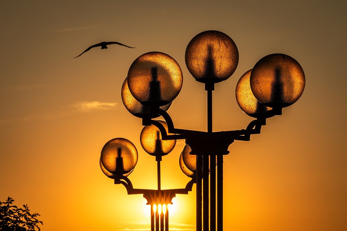 Click to View Larger