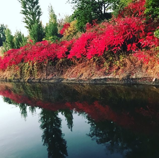 Click to View Larger