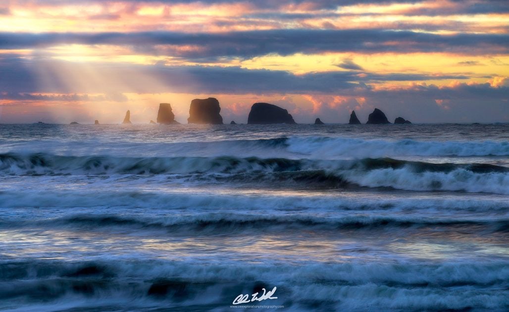 Click to View Larger