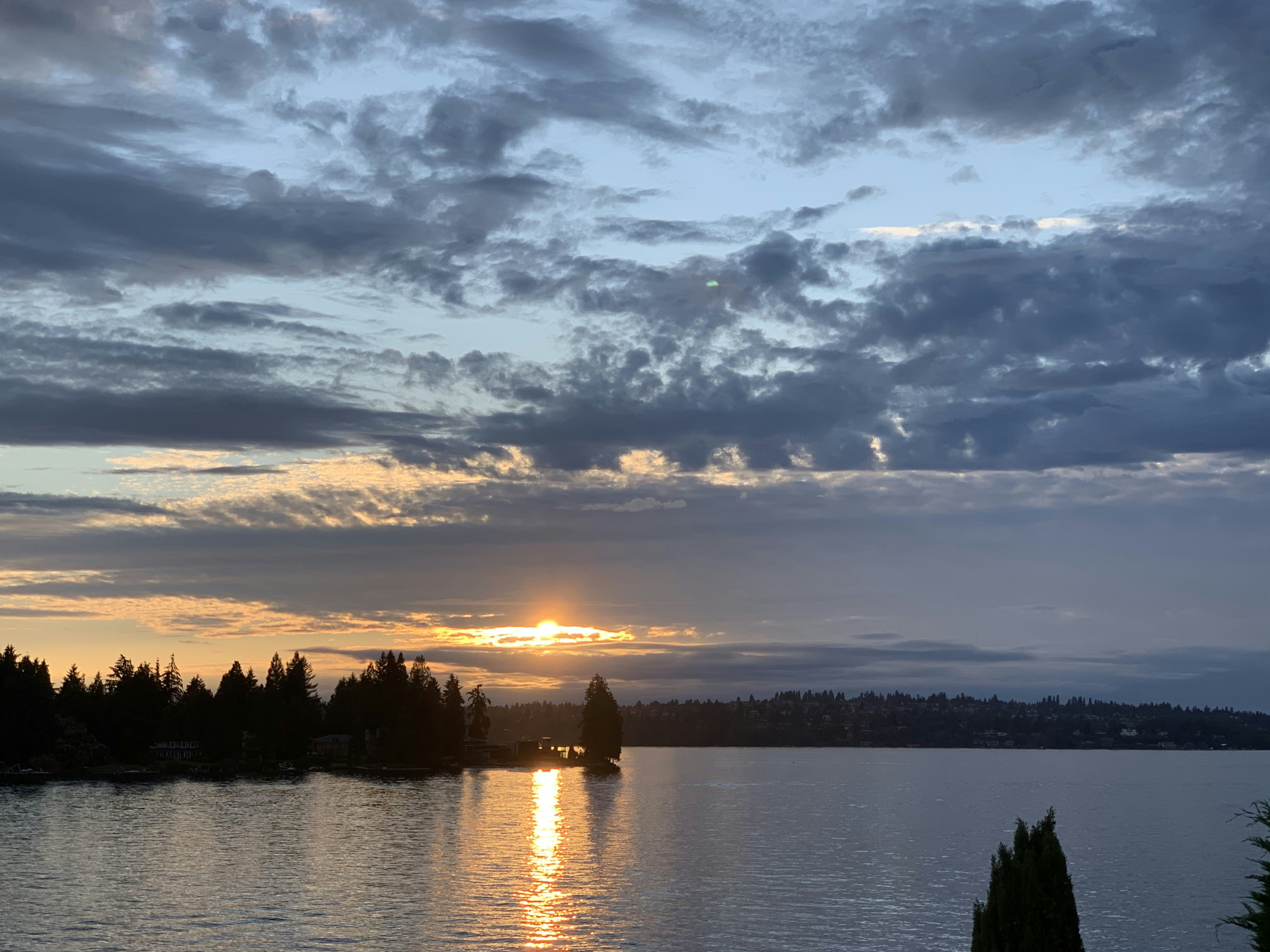 Click to View Larger