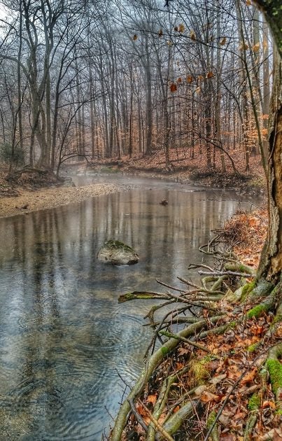 Click to View Larger