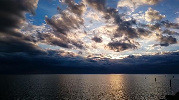 Click to View Larger