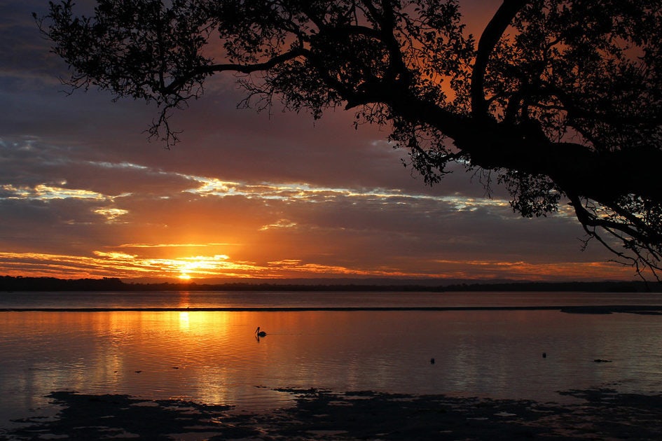 Click to View Larger