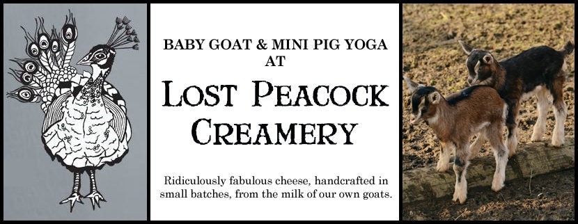 Click to View Larger