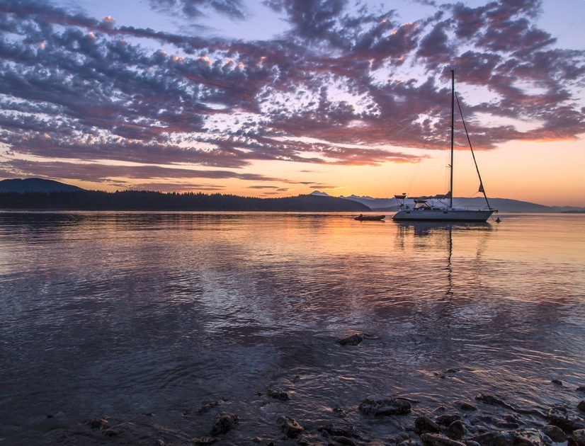 Click to View Larger