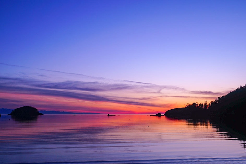 Click to View Larger