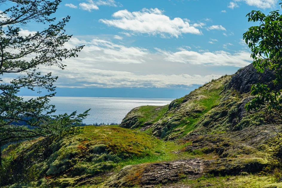 Click to View Larger