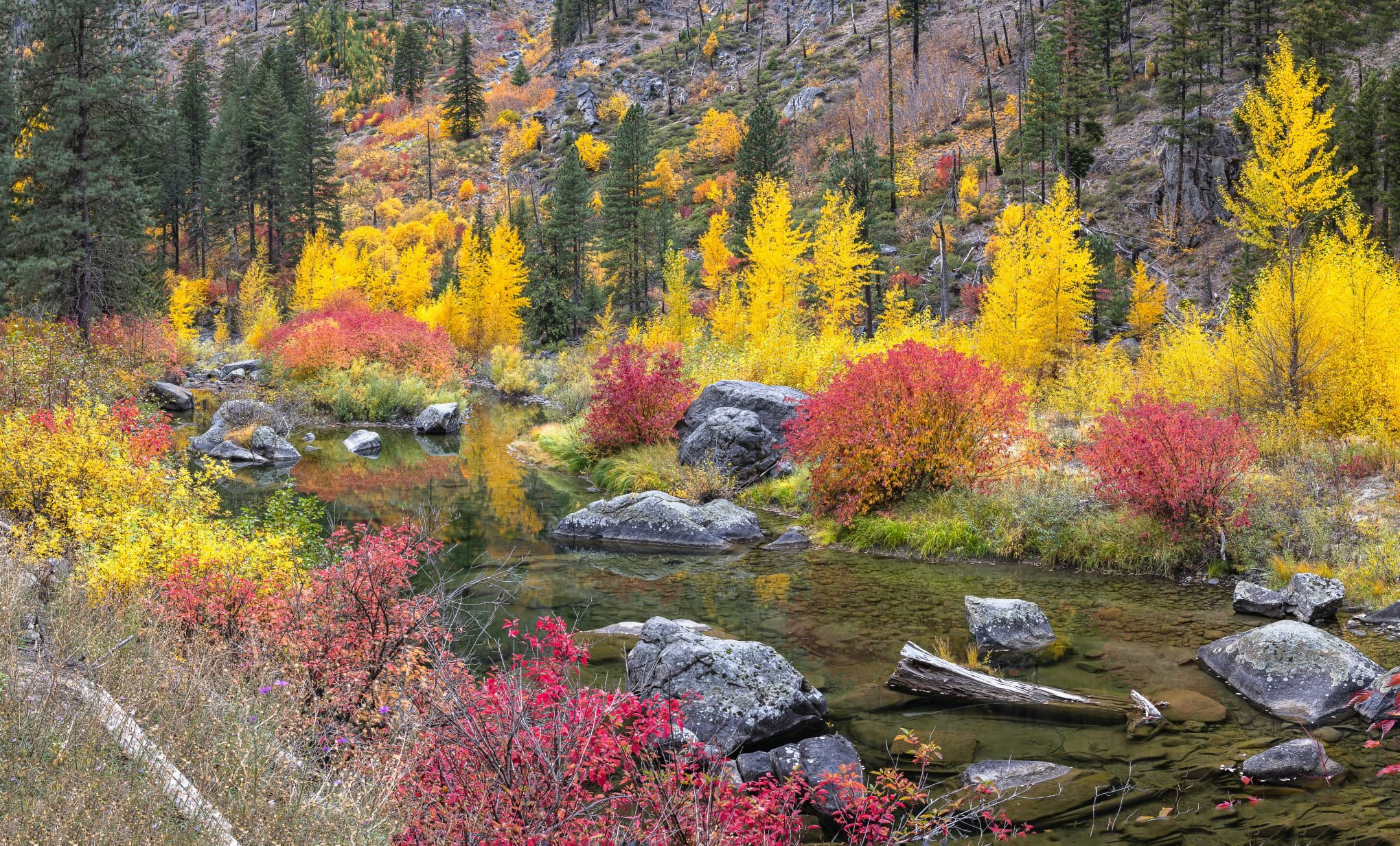 Click to View Larger