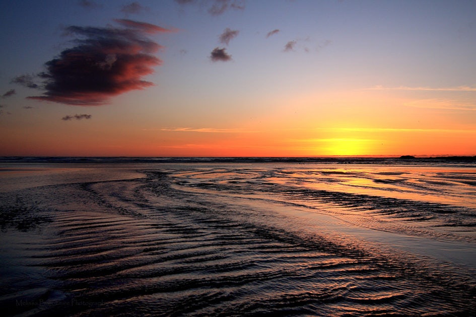 Click to View Larger