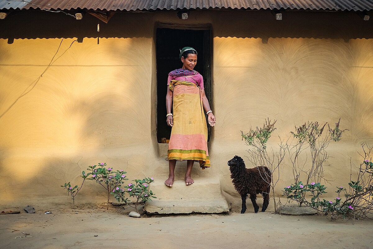 Click to View Larger