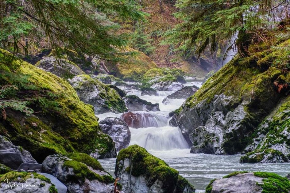 Click to View Larger