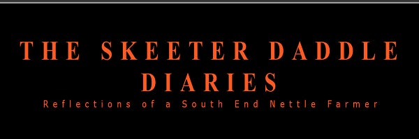 Click to View Larger