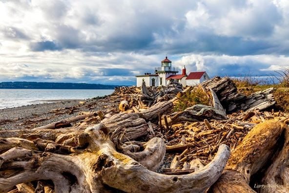 Click to View Larger