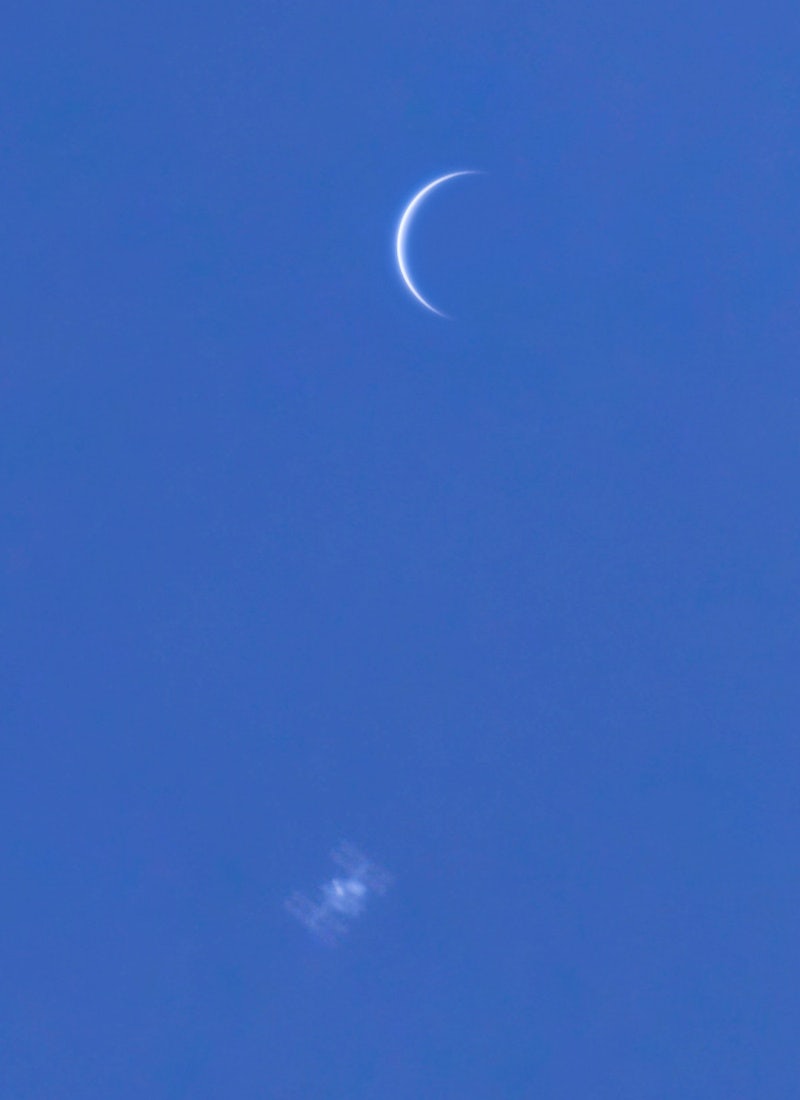 Click to View Larger