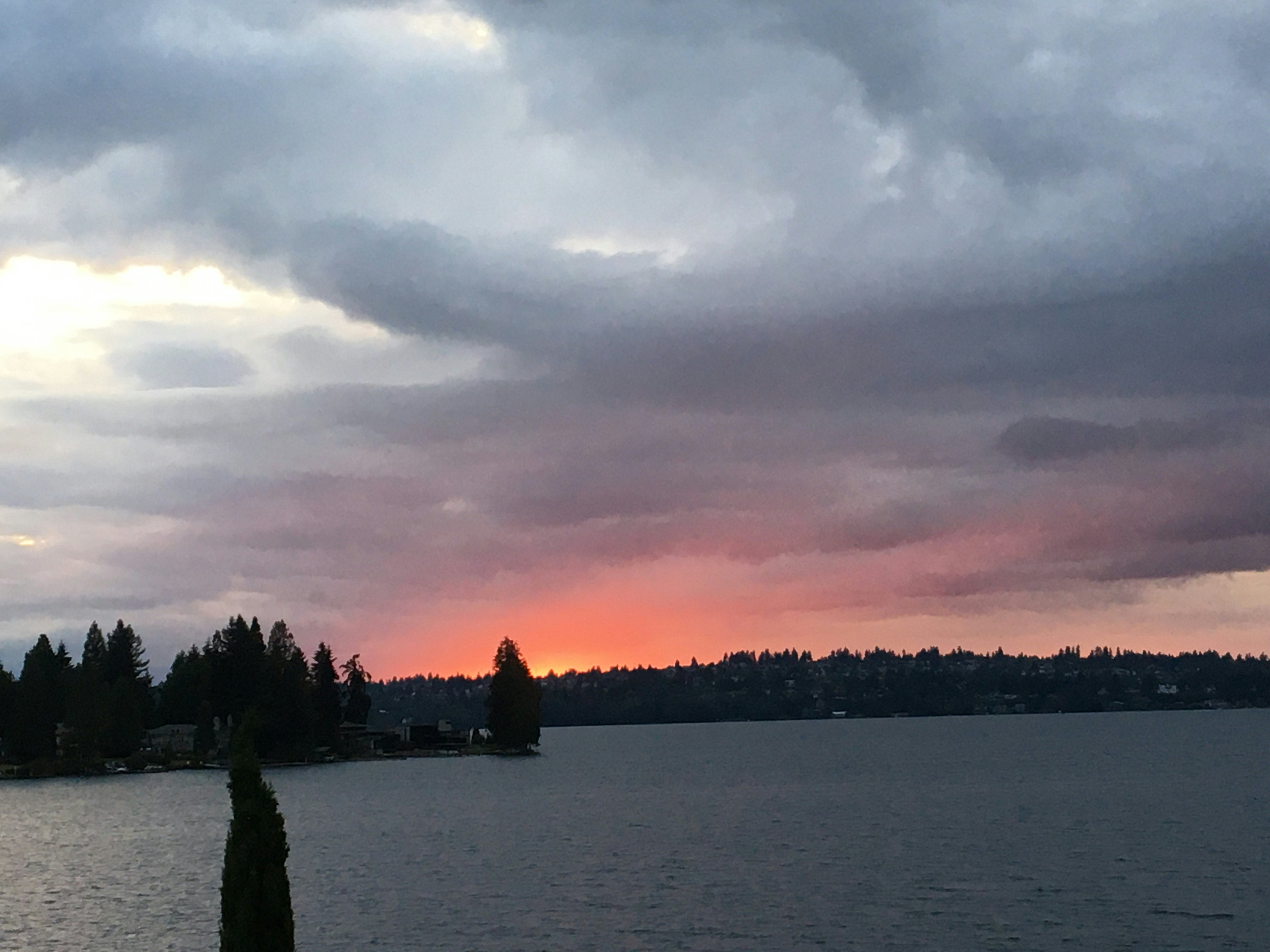 Click to View Larger