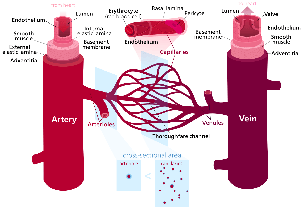 Click to View Larger