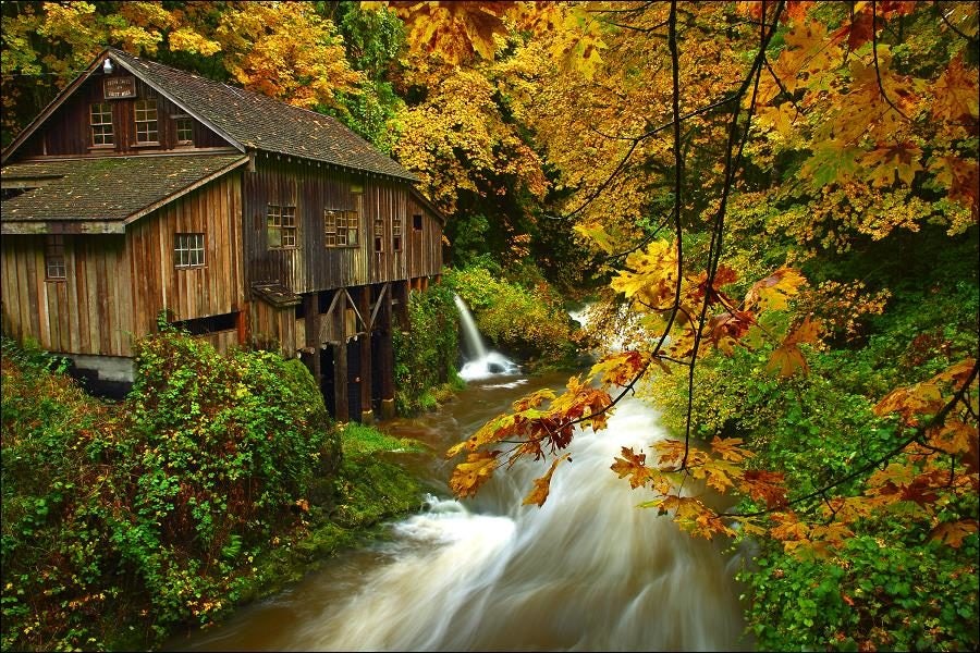 Click to View Larger