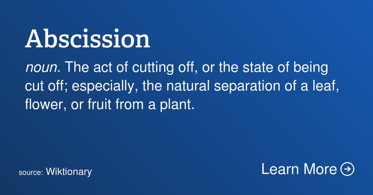 Click to View Larger