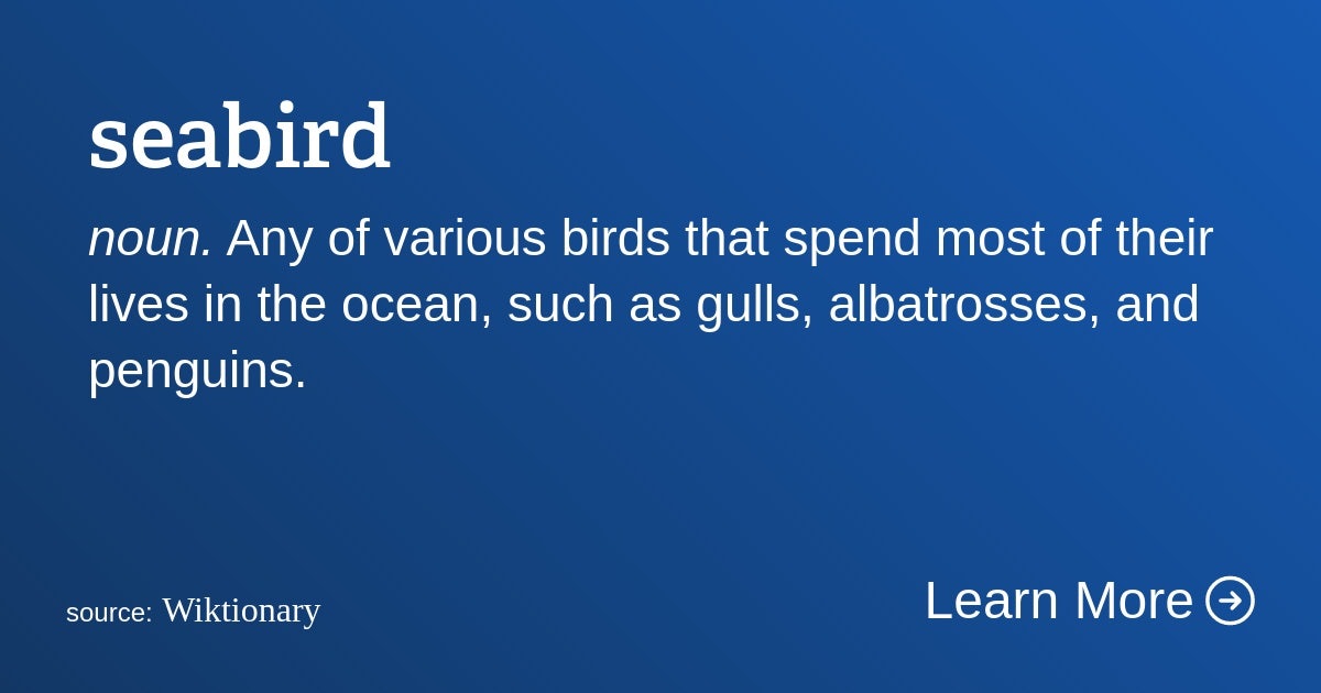 Click to View Larger