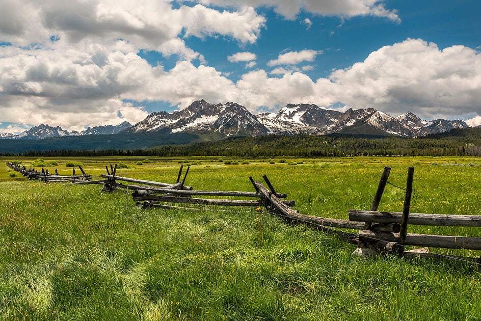 Click to View Larger