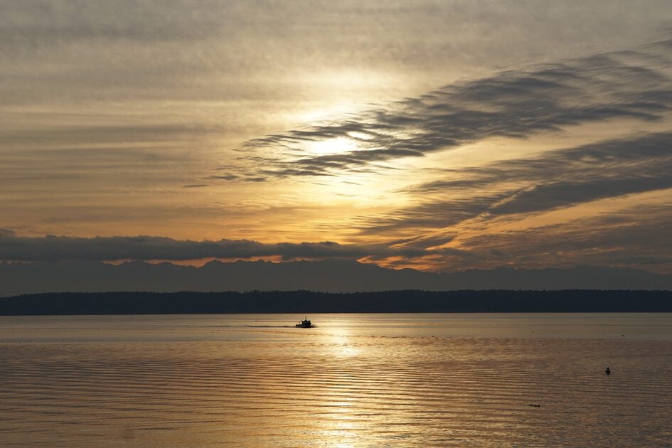 Click to View Larger