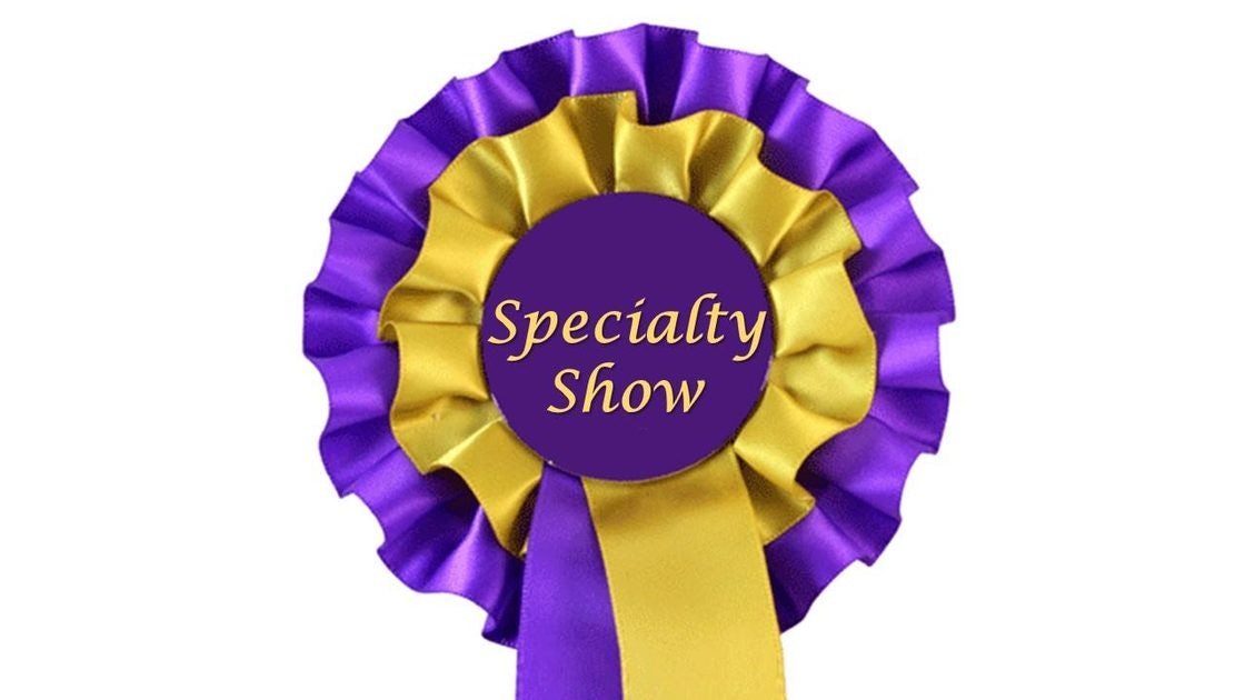 Click to View Larger