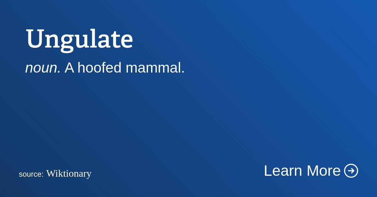 Click to View Larger