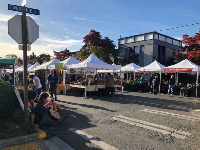 Click to View Larger