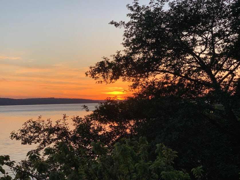 Click to View Larger