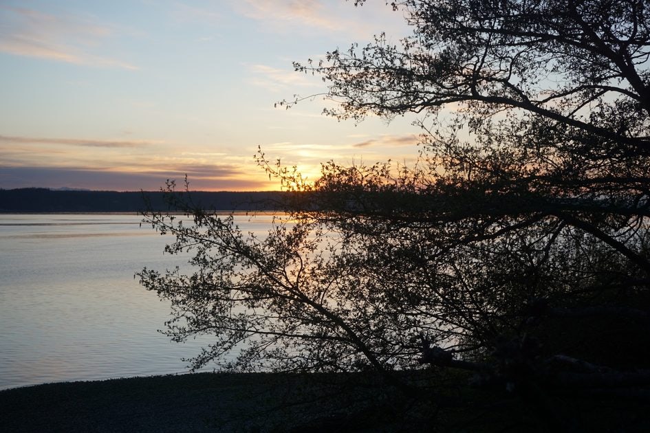 Click to View Larger