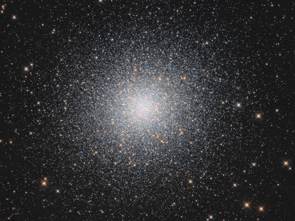 Click to View Larger