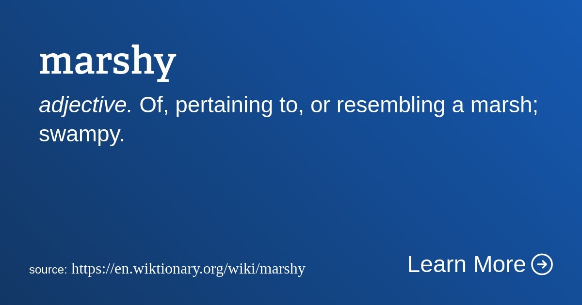 Click to View Larger