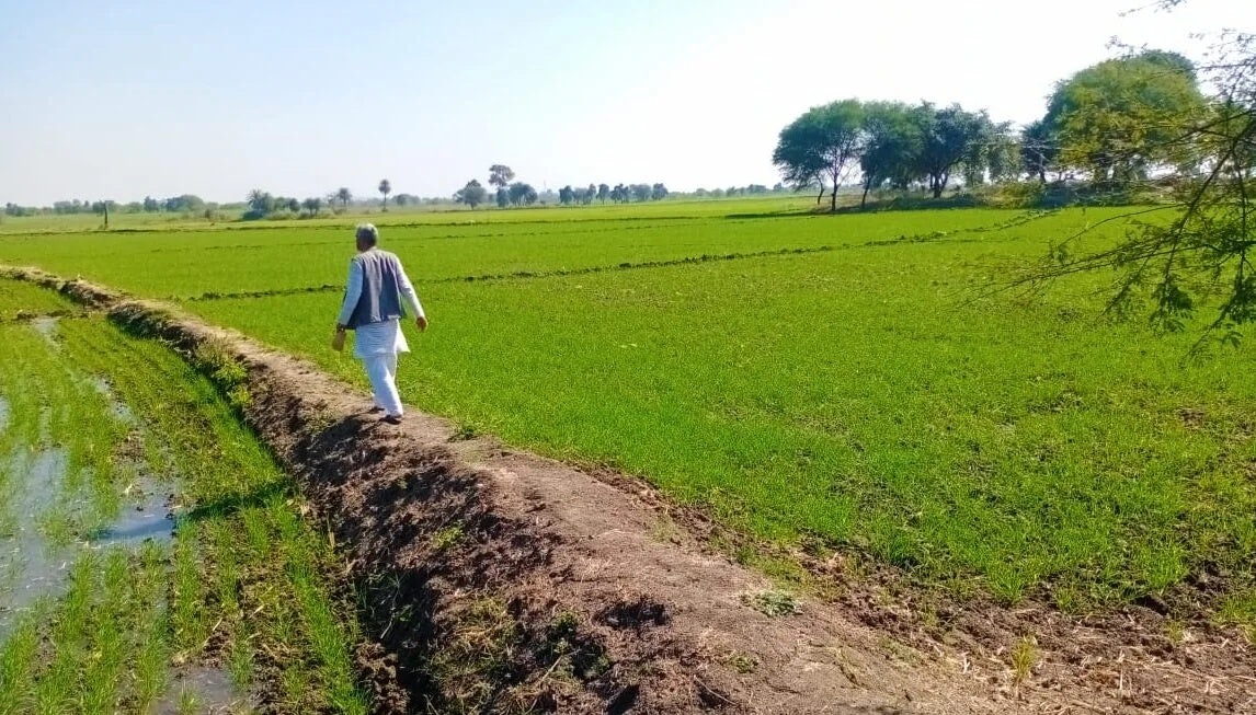 Click to View Larger