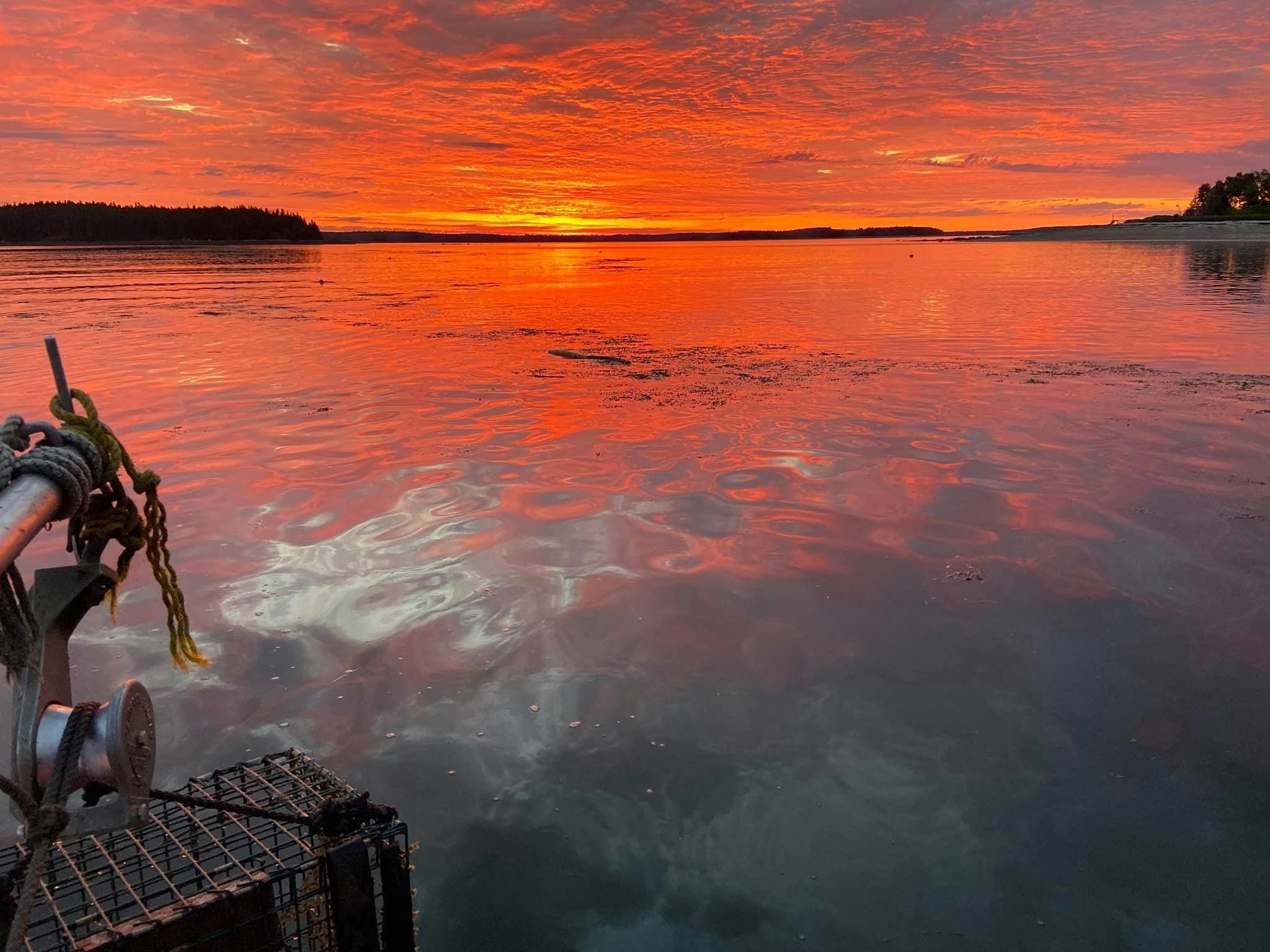 Click to View Larger