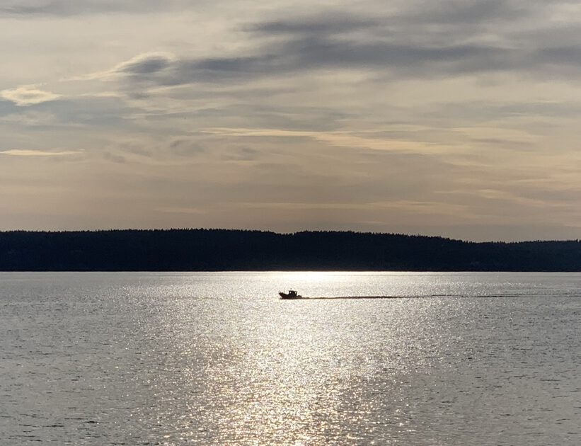 Click to View Larger