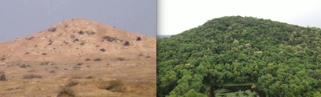 Click to View Larger