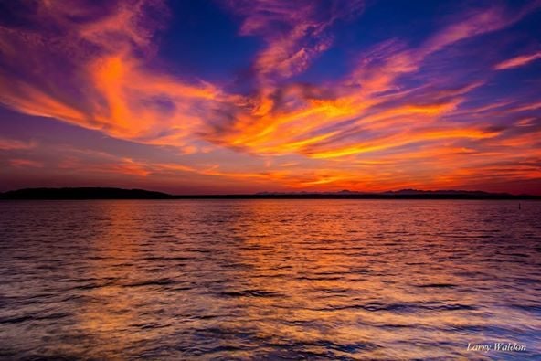 Click to View Larger