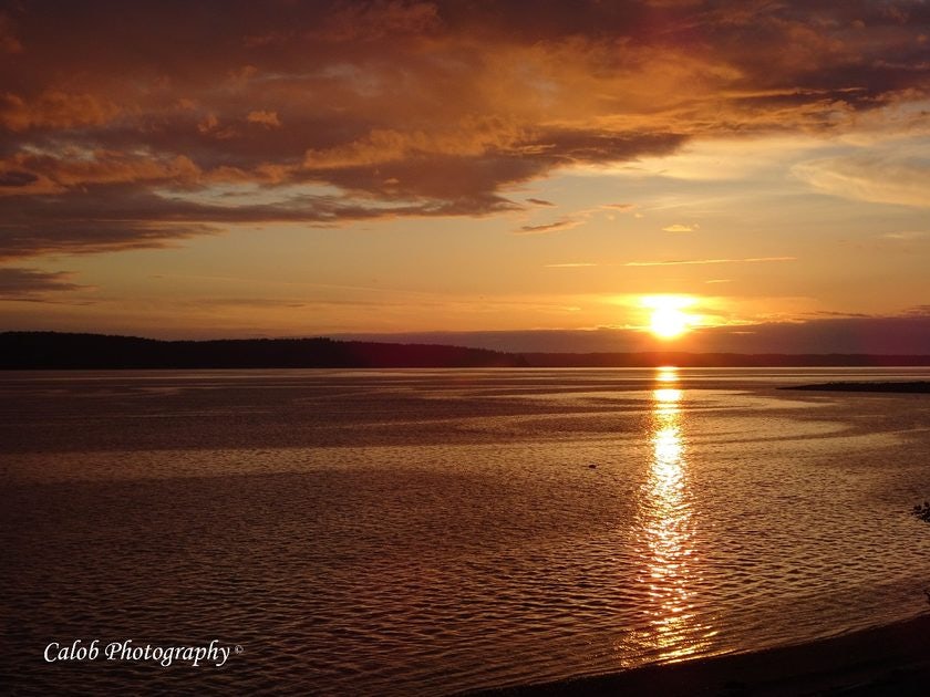 Click to View Larger