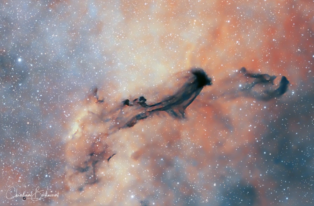 Click to View Larger