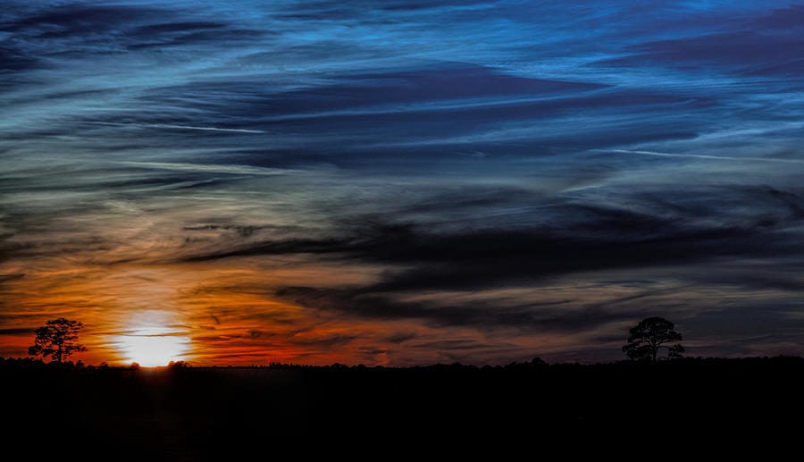 Click to View Larger