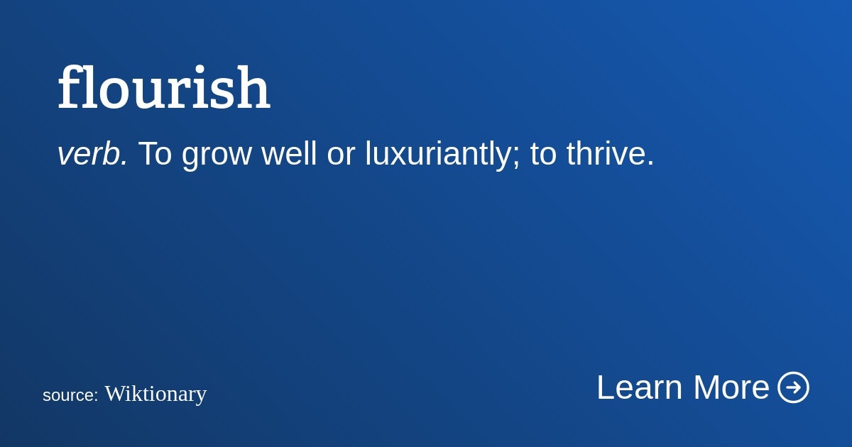 Click to View Larger