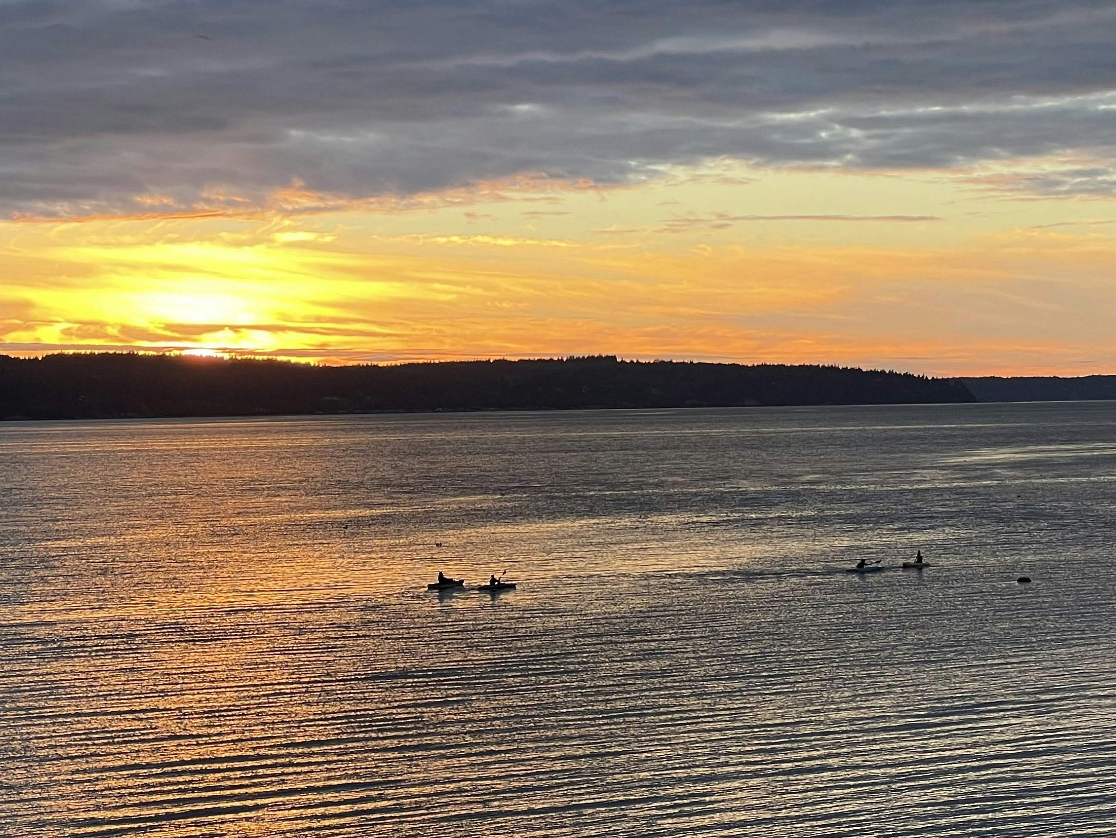 Click to View Larger