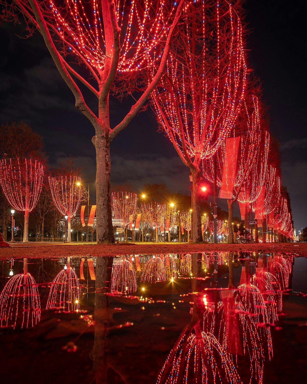 Click to View Larger