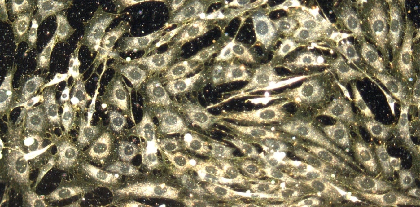 View More About This URL