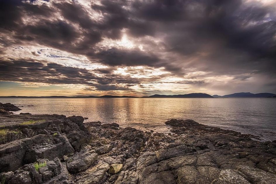 Click to View Larger