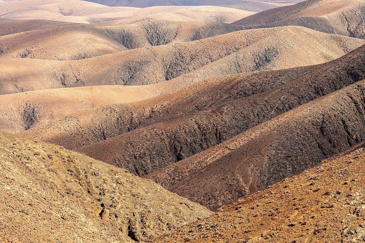 Click to View Larger