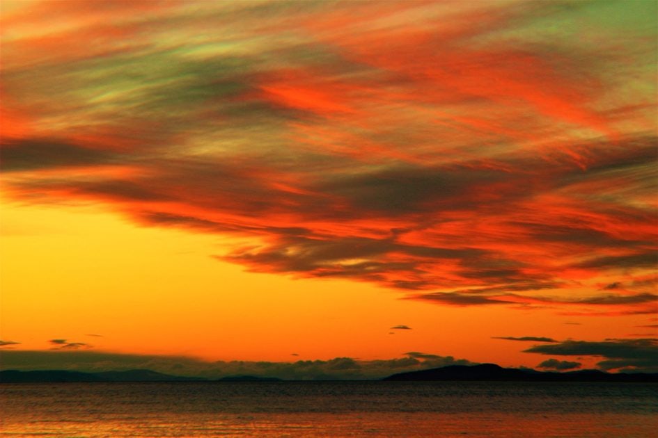 Click to View Larger